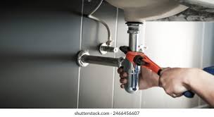 Best Green Plumbing Solutions and Water Conservation  in Goodwater, AL